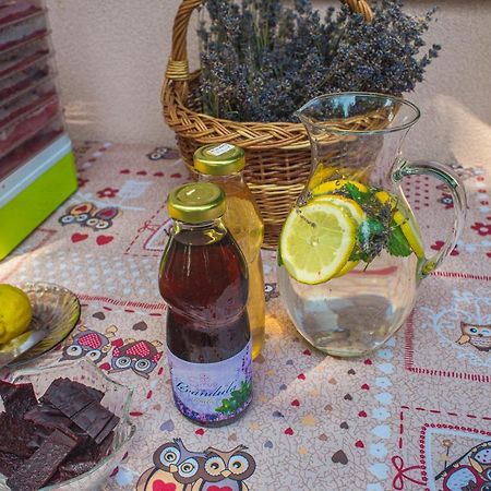 Bungalovy Natura Trávnica 外观 照片