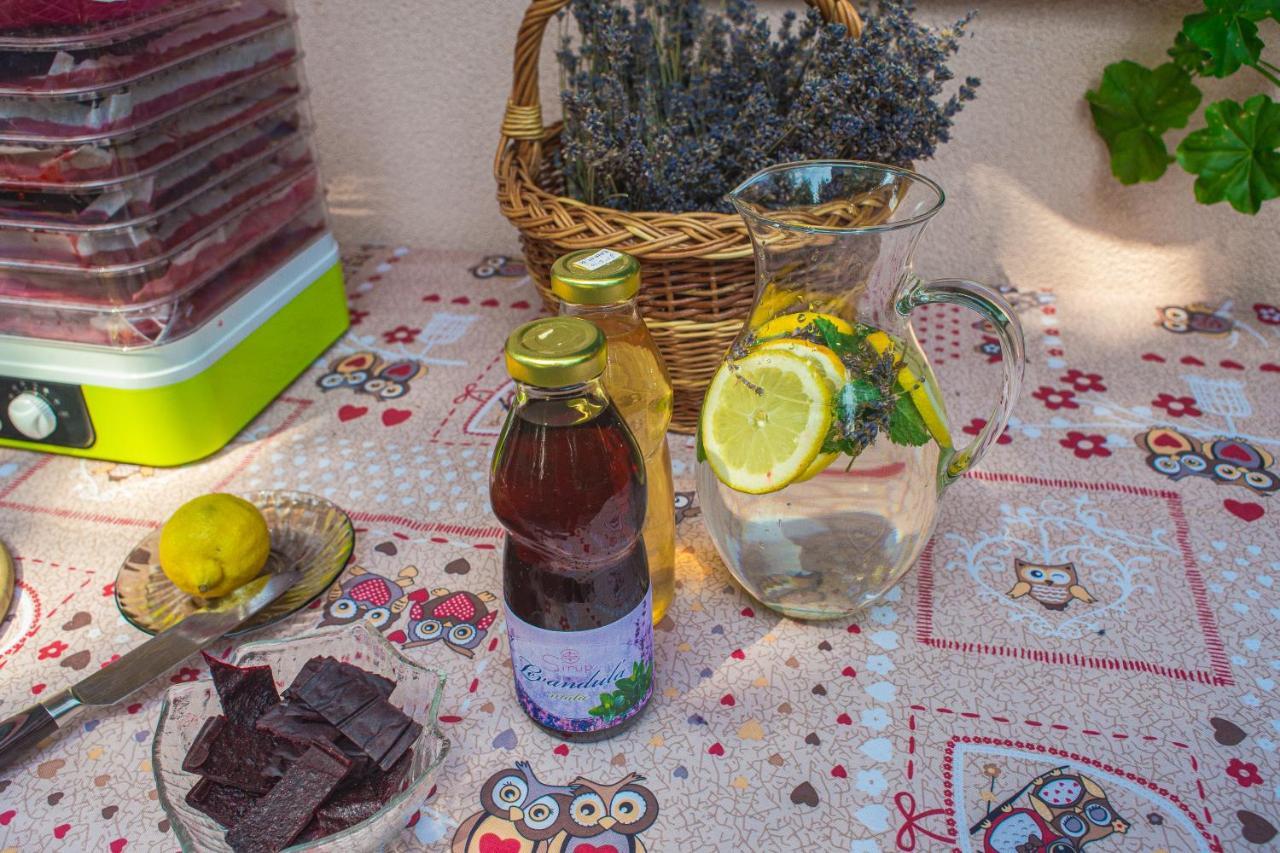Bungalovy Natura Trávnica 外观 照片